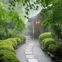 Dina Kass, 31.03, Актау