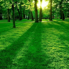 Татьяна Гро, 04.10.1983, Алматы