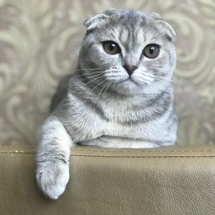 Таня Моисеева, 14.02.1984, Алматы