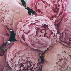 Фариза Айткулова, 27.01