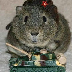 Максим Пшеничный, Мариуполь