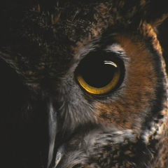 Ярослав Шевченко, 24.04, Кемерово