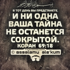 Muhammad Ibragimov, Санкт-Петербург