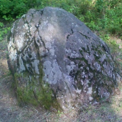 Николай Михаленко, 16.06.1978, Минск