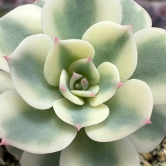 Ольга Акулова, 02.08, Москва