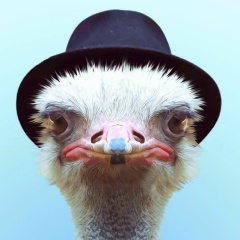 Иван Бровкин, 02.02, Bulembu