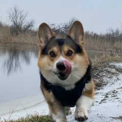 Оля Бонд