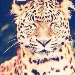 Dana Tursunova, 02.03, Алматы