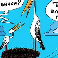 Игорь Середа