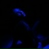 Елена Тришина, 22.02.1987, Москва