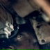 Глеб Гнездилов, 04.07.1967, Москва