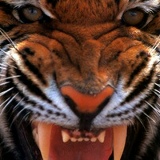 Александр Сизов, 12.03, Иваново