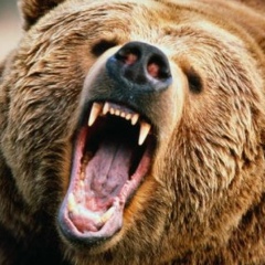 Андрей Медведев, 03.11, Казань