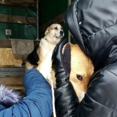 Татьяна Миронова, 15.04, Чистополь