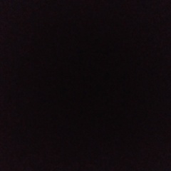 Опять Коля, Днепр (Днепропетровск)