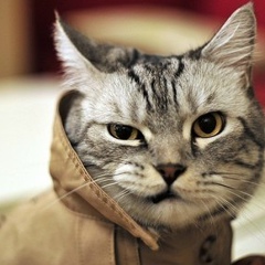 Радмир Бахтияров, 10.02.2000, Омск