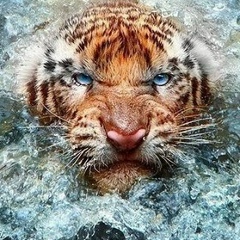 Адинур Джайшыбек, 14.11.1984