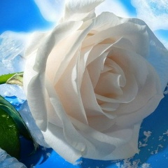 Ерке Амангазина, 09.04.1992, Алматы