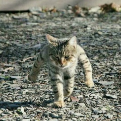 Алексей Зорин, 02.03, Санкт-Петербург