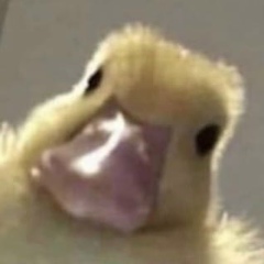 Татьяна Курочкина, 11.02.1986, Санкт-Петербург