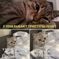 Анатолий Шишков, 31.10.1990, Омск