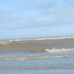 Алексей Леонтьев, 14.03