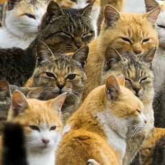 Саша Разум, 23.03, Ставрополь