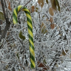 Юлия Киреева, 09.06, Николаев