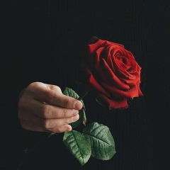 Ілля Гук, 03.03.2001, Винница