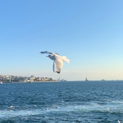 Ильза Аскарова, 30.10, Лысьва