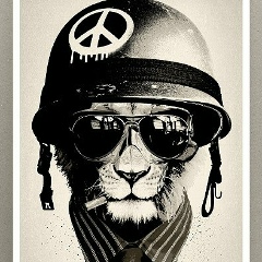 Мади Ермухан, 27.01.1996, Алматы