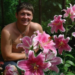 Валерий Востриков, 11.11.2006