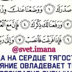 Хеди Чеченка, 03.04, Санкт-Петербург
