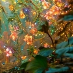 Дарья Белкина, 01.08.1988, Нижний Новгород