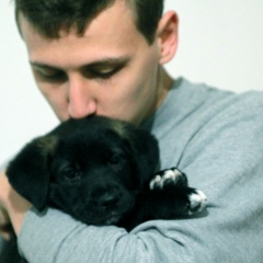 Богдан Лыпай, 15.07, Киев