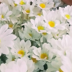 Анна Эсаулова, 09.03, Санкт-Петербург