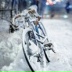 Рома Котис