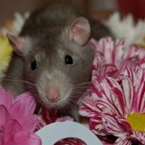 Юлия Иванова, 04.02, Москва