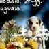 Владимир Луцкий, 09.08.1985, Винница