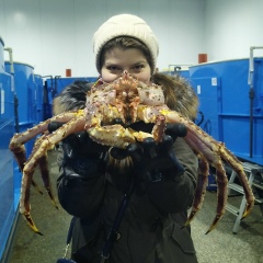 Ольга Тюкина, 23.12, Мурманск