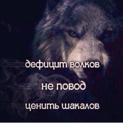Хади Басаева, Москва