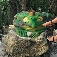 Зланя Кобычева, Новосибирск
