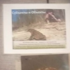 Бендер Родригез, 01.12, Москва