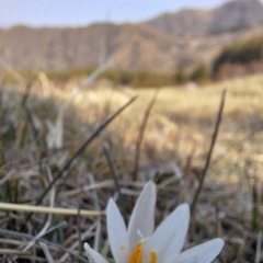 Ксения Вольховская, 20.08.1981
