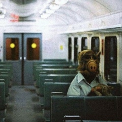 Сергей Рублёв, 01.02, Москва