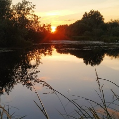 Александр Киреев, 21.06.1986, Санкт-Петербург