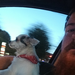 Артем Токарев, 17.03, Ставрополь