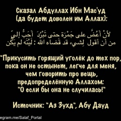 Bilal Arshanov, 03.03, Аргун
