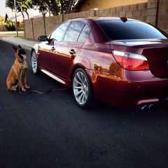 Артём Сальцев, 03.11, Киев