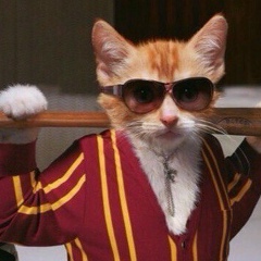 Павел Иванов, 20.08.1984, Новосибирск